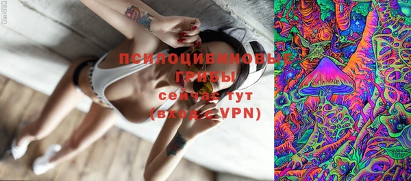 спиды Коряжма