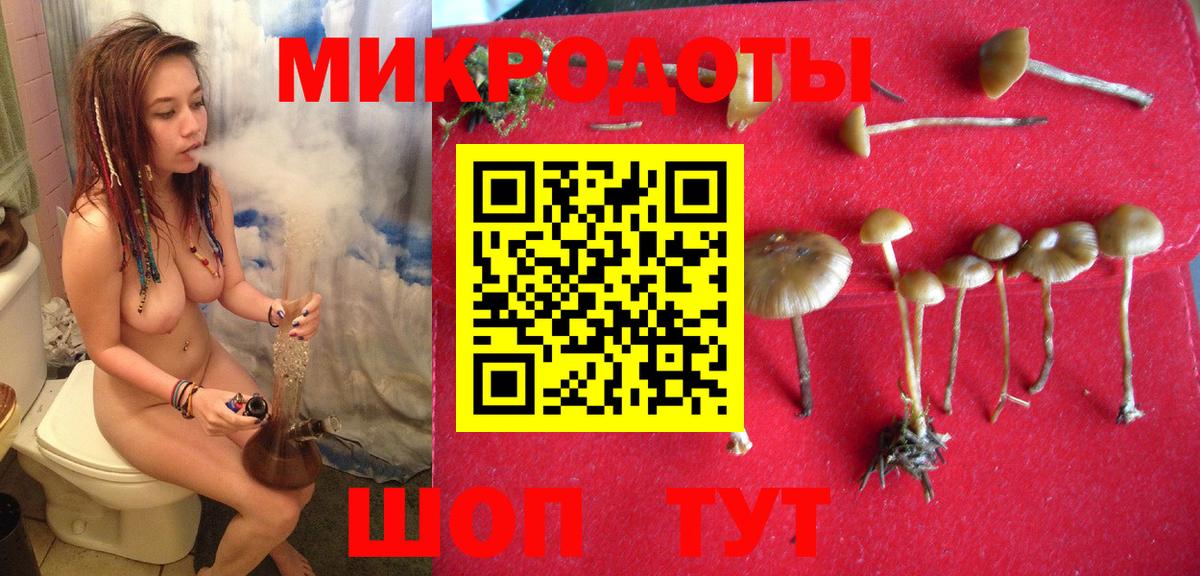 Галлюциногенные грибы ЛСД Кемерово