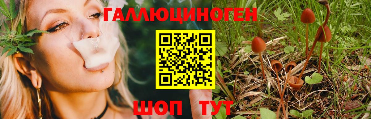 Псилоцибиновые грибы ЛСД  Псилоцибиновые грибы мухоморы  Кемерово  Вход с VPN 
